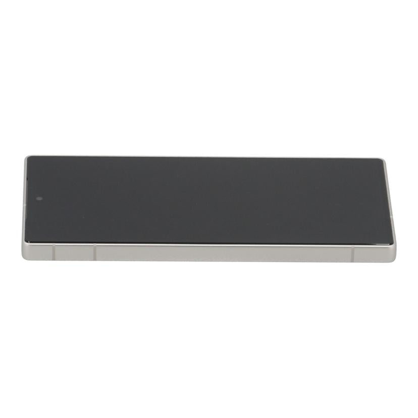 SHARP docomo シャープ /スマートフォン/AQUOS R10 256GB/SH-51F//352824600310434/Aランク/25
