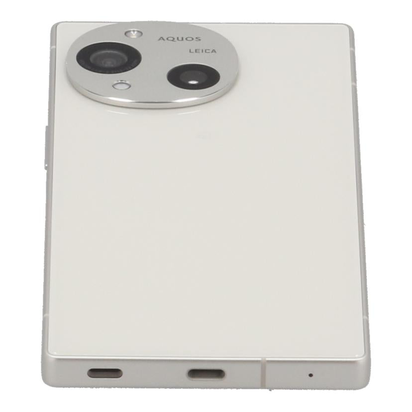 SHARP docomo シャープ /スマートフォン/AQUOS R10 256GB/SH-51F//352824600310434/Aランク/25