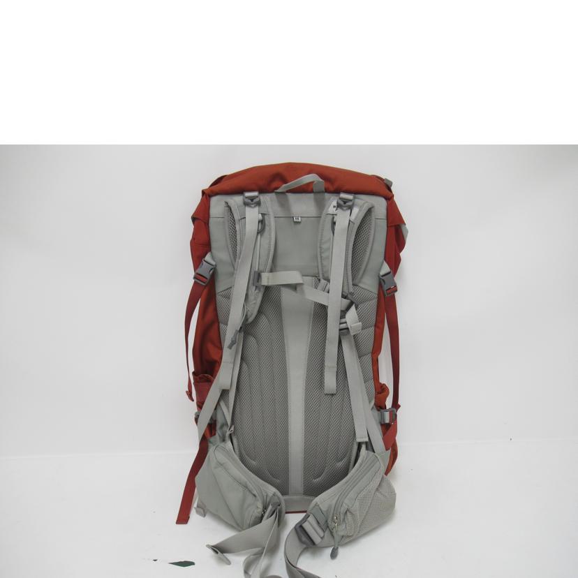 THE NORTH FACE/TELLUS 42/RED/NMW61306//ABランク/63