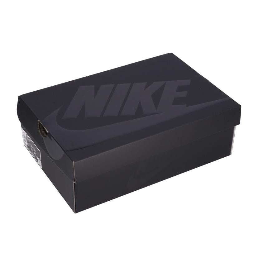 NIKE ナイキ/NIKE DUNK HI/F/DJ0382-600//Bランク/94