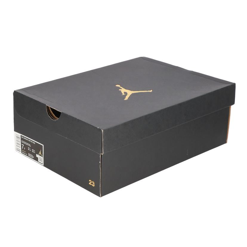 NIKE ナイキ/AIR JORDAN 2 RETRO GS/DX2591-106//Bランク/94