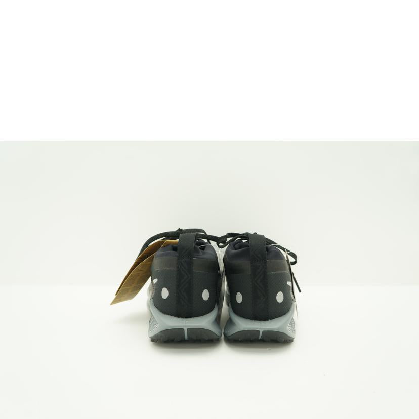 NIKE ナイキ/W PEGASUS TRAIL 5GTX/FQ0912-001//Sランク/75