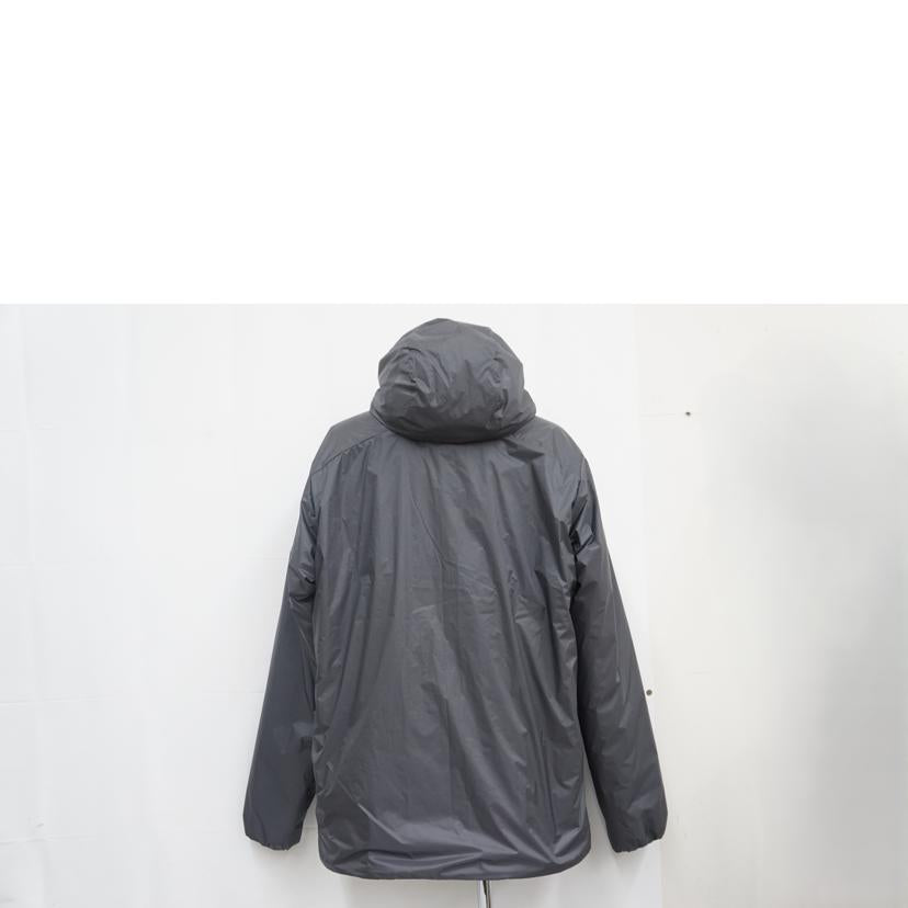 patagonia パタゴニア/ patagonia DAS LIGHT HOODY L/85301//Aランク/67