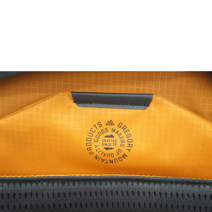 GREGORY グレゴリー/バックパック RHUNE 20L 黒//ABランク/42