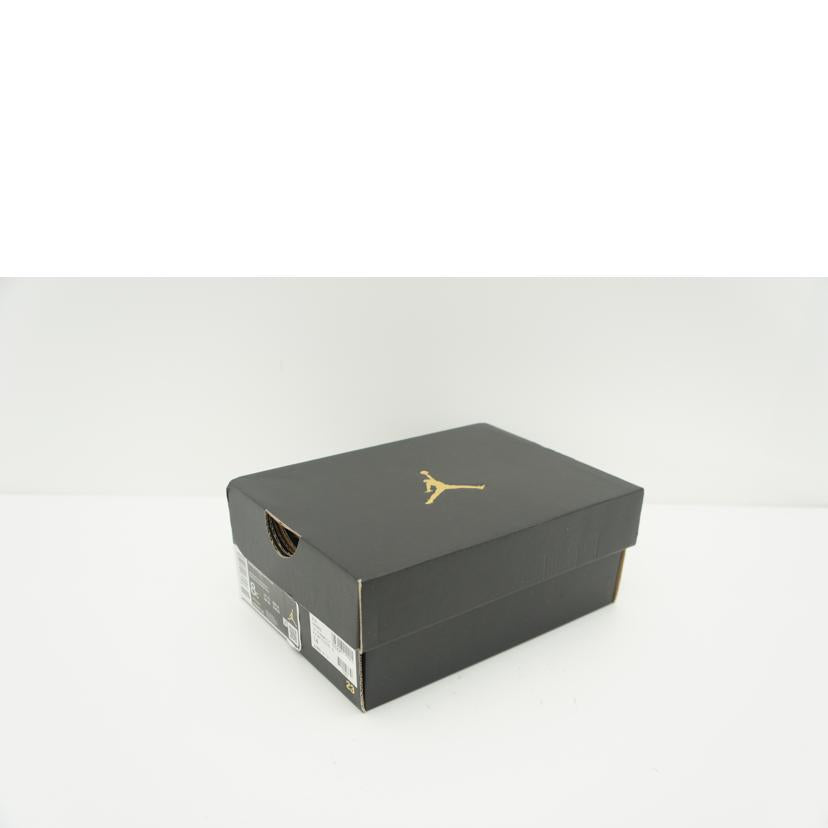 NIKE ナイキ/JORDAN5 RETRO(TD)/440890-141//14.0cm/SAランク/09