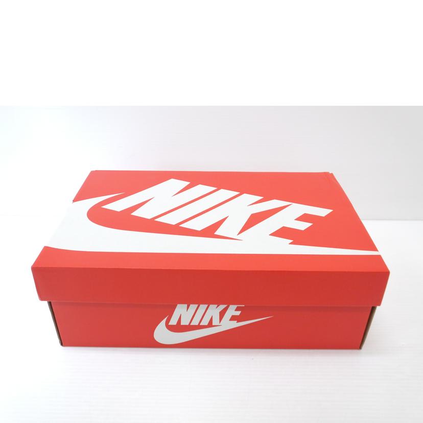 NIKE ナイキ/Nike Ebernon Low Premium/AQ1774-100//ABランク/88