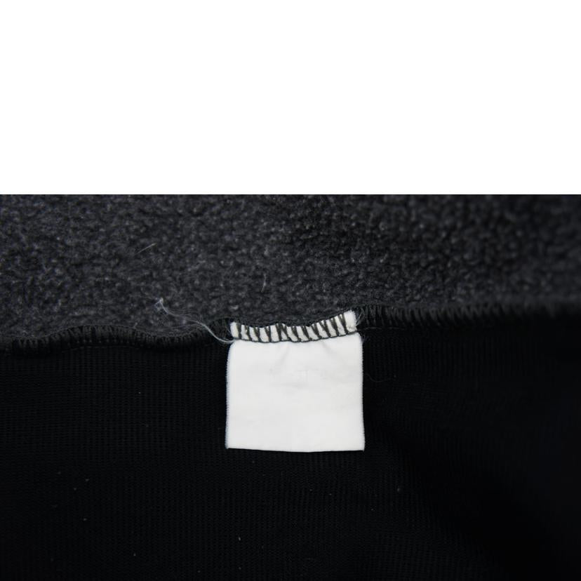 THE NORTH FACE/ALMADILLAハーフジッププルオーバー GRY//BCランク/78