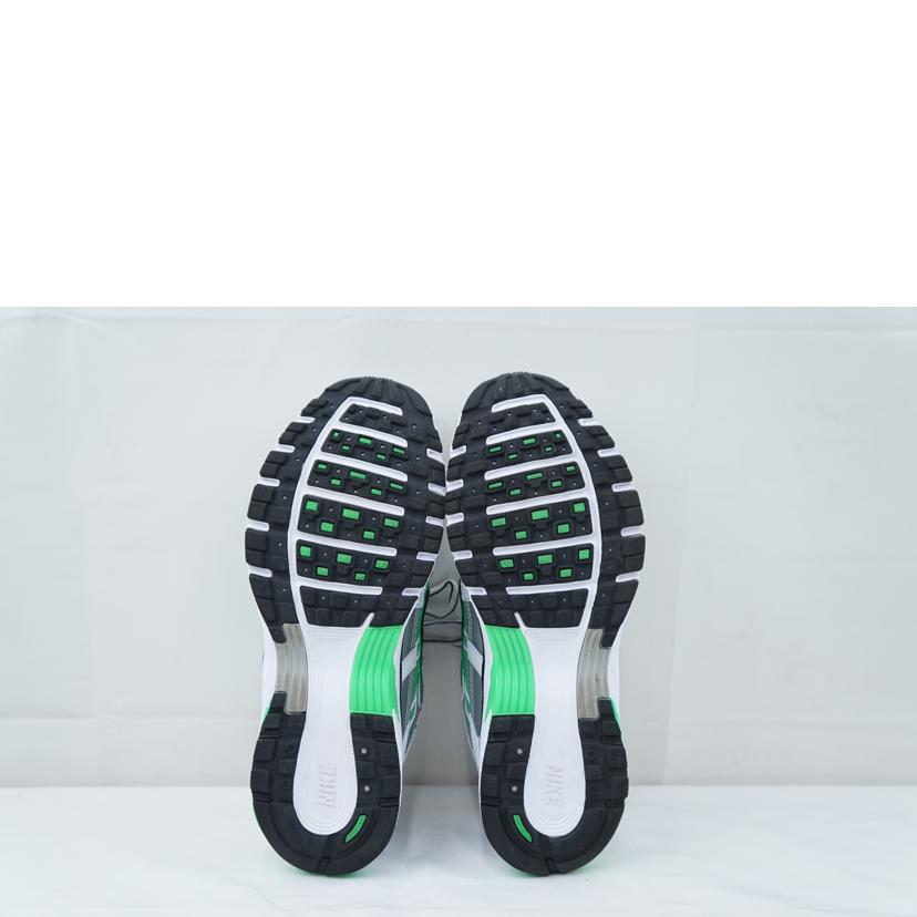 NIKE ナイキ/NIKE P-6000 25.0/CD6404-104//Aランク/67