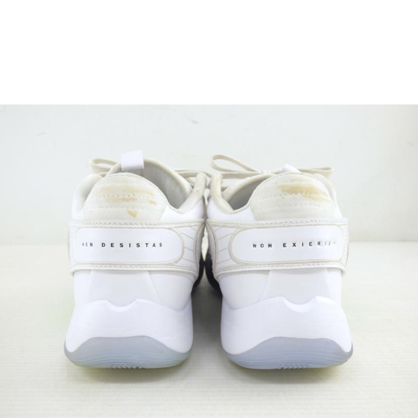 NIKE ナイキ/JORDAN LUKA 2 PF/DX9012-103//Bランク/64