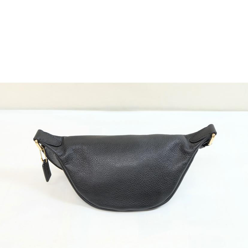 COACH コーチ/レザーボディバック/F48738//M19**/Aランク/71