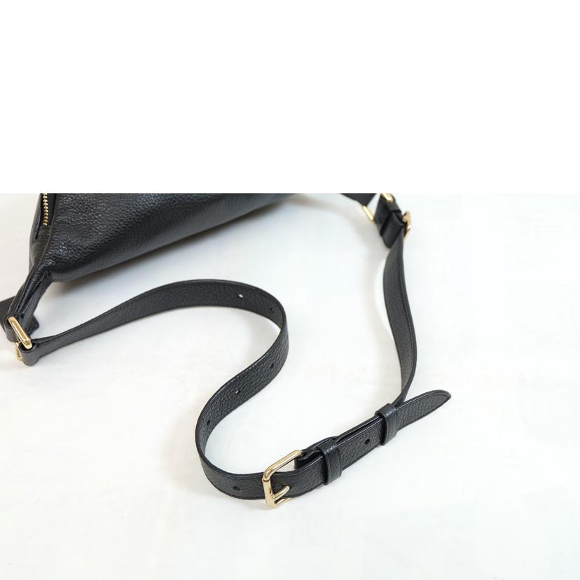 COACH コーチ/レザーボディバック/F48738//M19**/Aランク/71