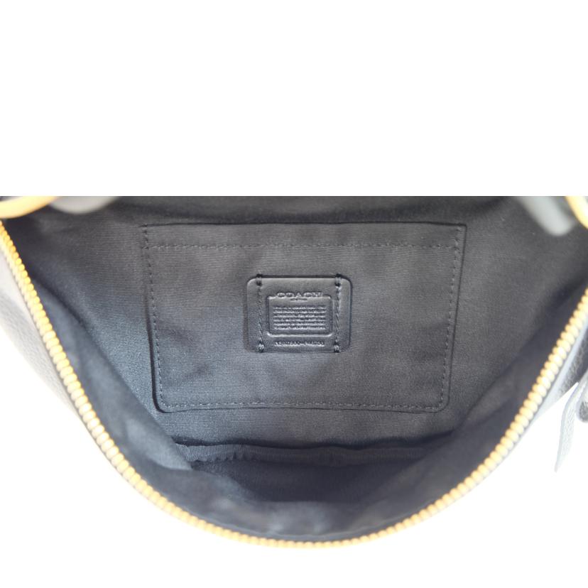 COACH コーチ/レザーボディバック/F48738//M19**/Aランク/71