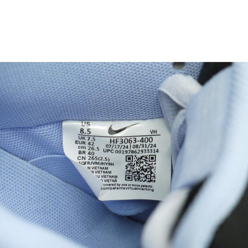 NIKE ナイキ/SB DUNK LOWアルミニウム/ブラック/HF3063-400//SAランク/69