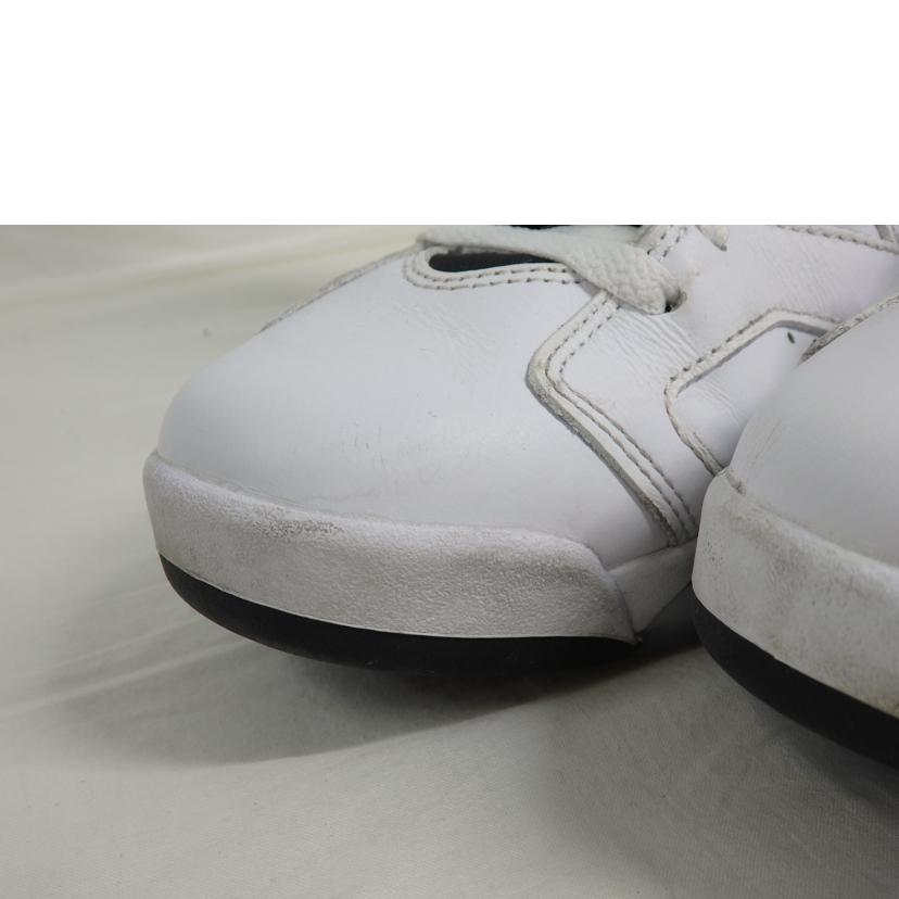 NIKE ナイキ/AIR JORDAN 6/CT8529-112//Bランク/84