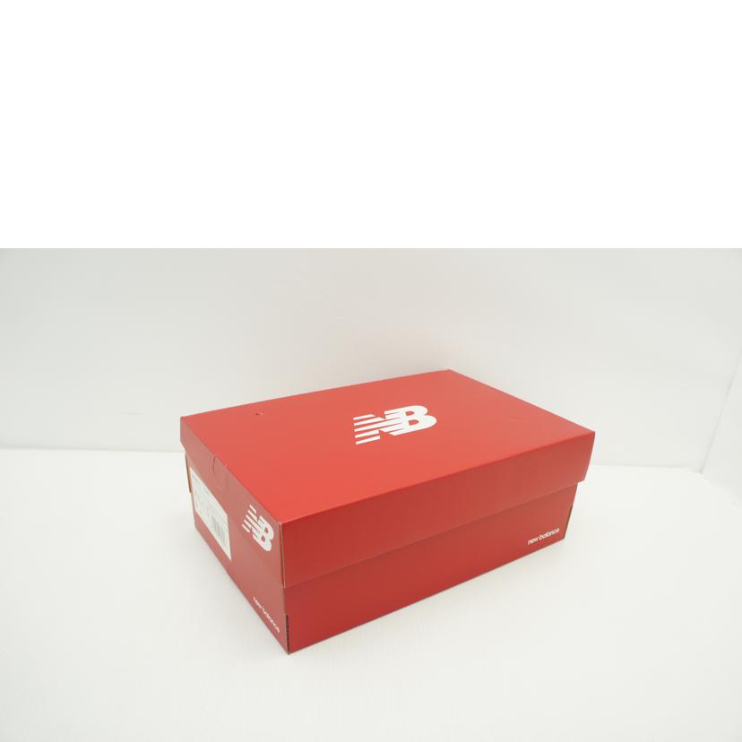 new balance ニューバランス/FreshFormX1080v13T13/M1080T13//Aランク/09