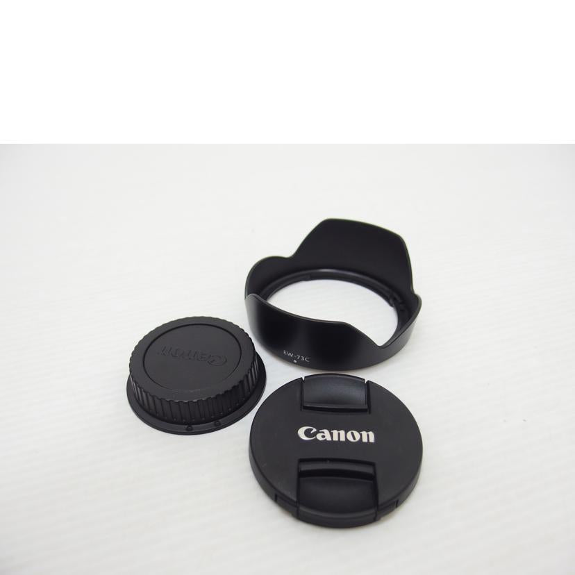 CANON CANON/EF-S10-18mm広角ズ-ムレンズ/EF-S10-18mm4.5-5.6IS STM//9652005324/ABランク/88