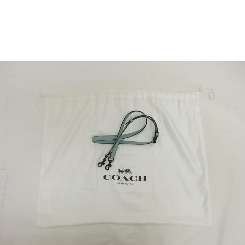 COACH コーチ/タイラーキャリーウォール/2WAYショルダーバッグ/ライトブルー/C3460//C22**/ABランク/04