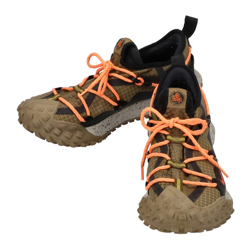 NIKE ナイキ/NIKE ACG Mountain Fly Low GTX SE//ABランク/19