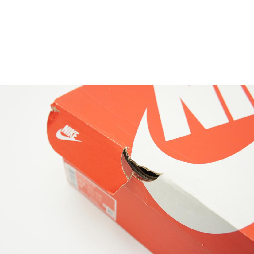 NIKE/AIRFLIGHT LITE MID/FJ2949-001//28.5cm/Aランク/09