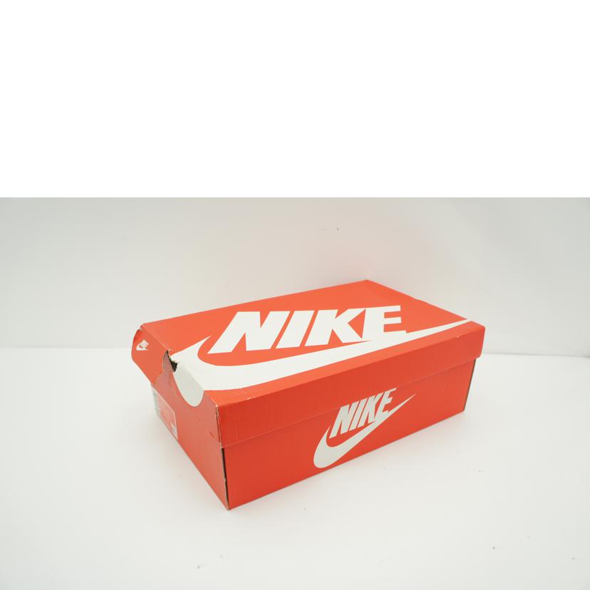 NIKE/AIRFLIGHT LITE MID/FJ2949-001//28.5cm/Aランク/09