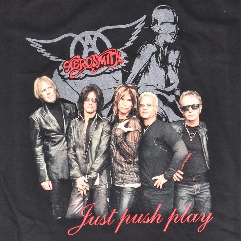 GIANT ジャイアント/AEROSMITH 2001ツアーT / 空山基 / USA製//Aランク/76