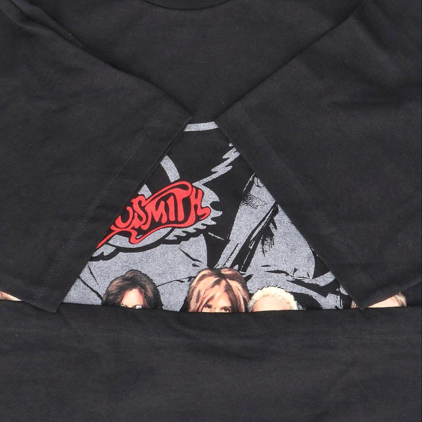 GIANT ジャイアント/AEROSMITH 2001ツアーT / 空山基 / USA製//Aランク/76