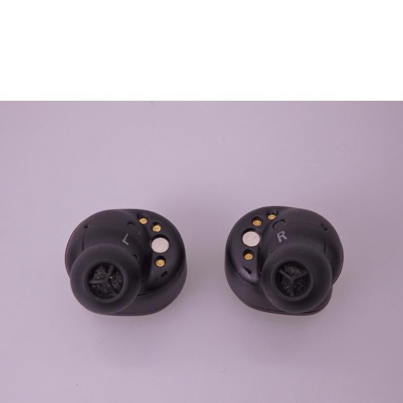 Technics テクニクス/ワイヤレスイヤホン/EAH-AZ80/EAH-AZ80//3FCFA010361/ABランク/76