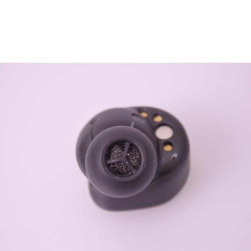 Technics テクニクス/ワイヤレスイヤホン/EAH-AZ80/EAH-AZ80//3FCFA010361/ABランク/76