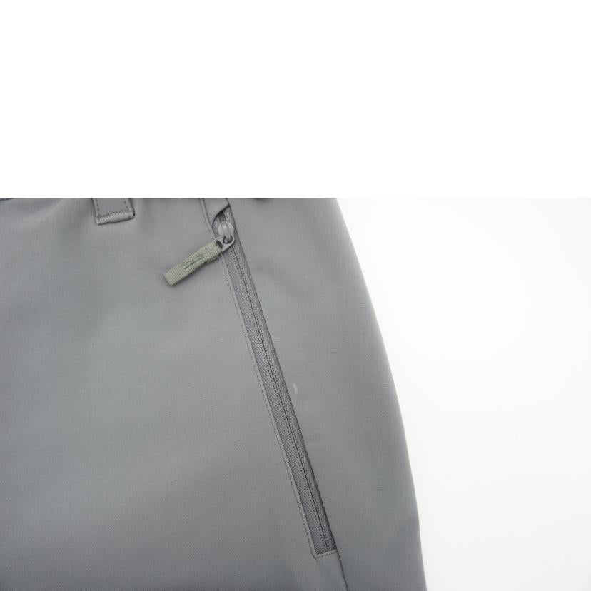 THE NORTH FACE ノースフェイス/ノースフェイス/バーブパンツ/スモークドパールMサイズ/NB82502//SAランク/06