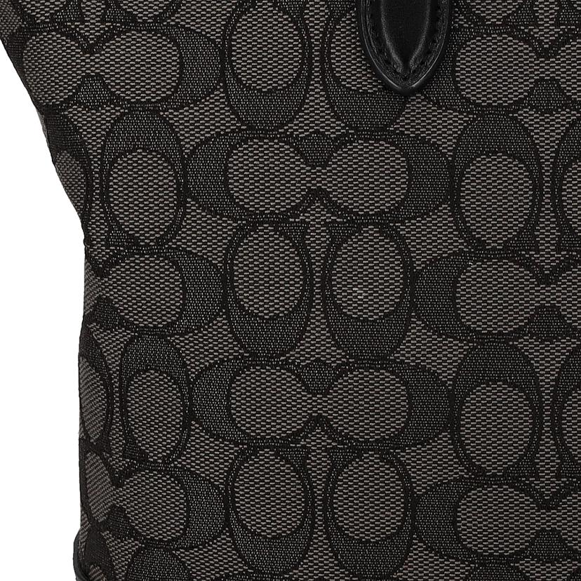 COACH コーチ/シグネチャー トートバッグ/F29968//Aランク/70