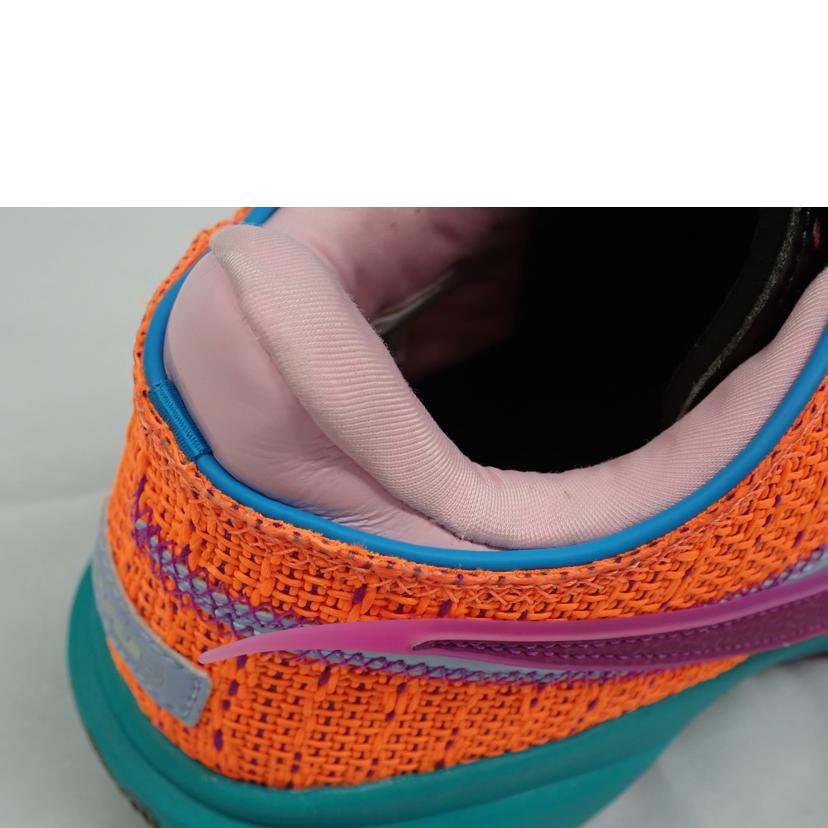 NIKE ナイキ/LeBrron 20/DJ5422-800//28.0cm/Bランク/62