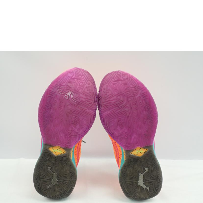 NIKE ナイキ/LeBrron 20/DJ5422-800//28.0cm/Bランク/62