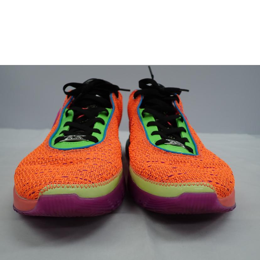 NIKE ナイキ/LeBrron 20/DJ5422-800//28.0cm/Bランク/62