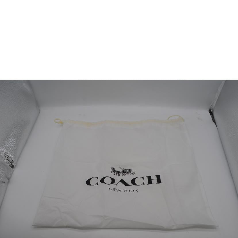 COACH コーチ/アンディホースーキャリッジペブル2wayレザーハンド/CA164//B22**/SAランク/89