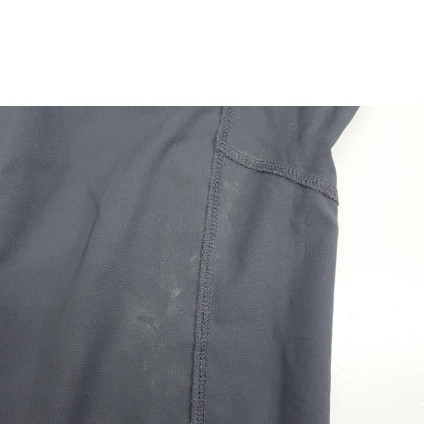 Patagonia Patagonia/★Patagonia テルボンヌジョガーズパンツ/24540//S/BCランク/62