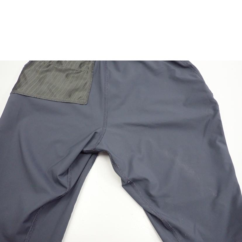 Patagonia Patagonia/★Patagonia テルボンヌジョガーズパンツ/24540//S/BCランク/62