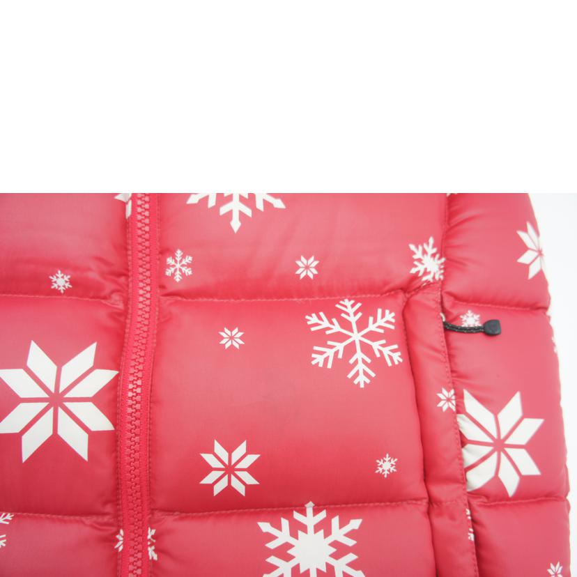 THE NORTHFACE ノースフェイス/アコンカグアフーディー/NDJ91204//Bランク/09