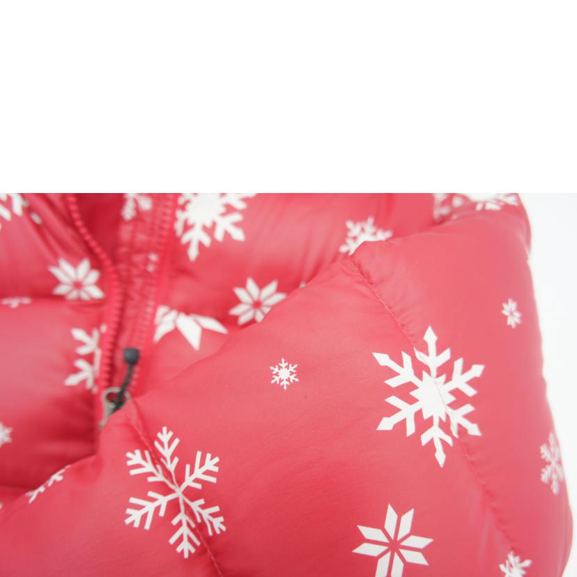 THE NORTHFACE ノースフェイス/アコンカグアフーディー/NDJ91204//Bランク/09