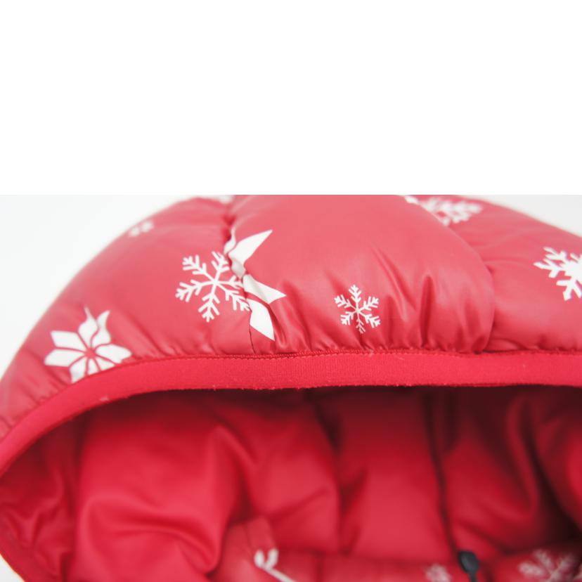 THE NORTHFACE ノースフェイス/アコンカグアフーディー/NDJ91204//Bランク/09