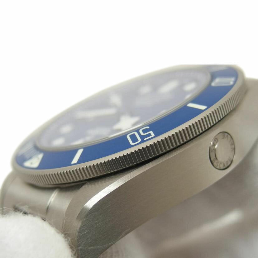 TUDOR チューダー/ペラゴス/ブルー文字盤/チタン/自動巻き/25600TB//9VE****/Aランク/04