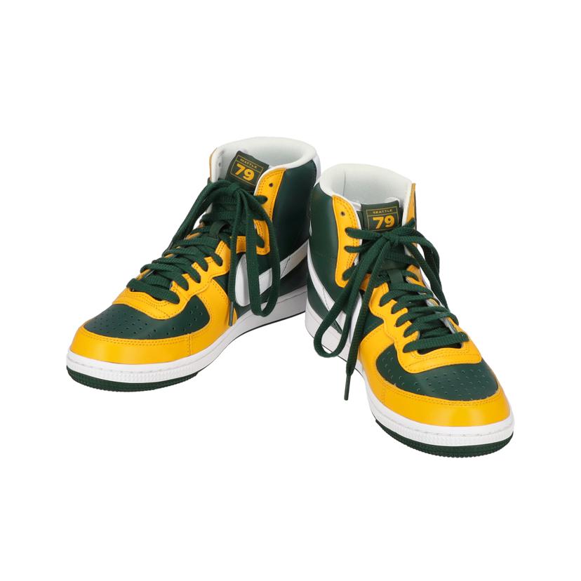 NIKE ナイキ/TERMINATOR HIGH/FN4442-300//Aランク/94