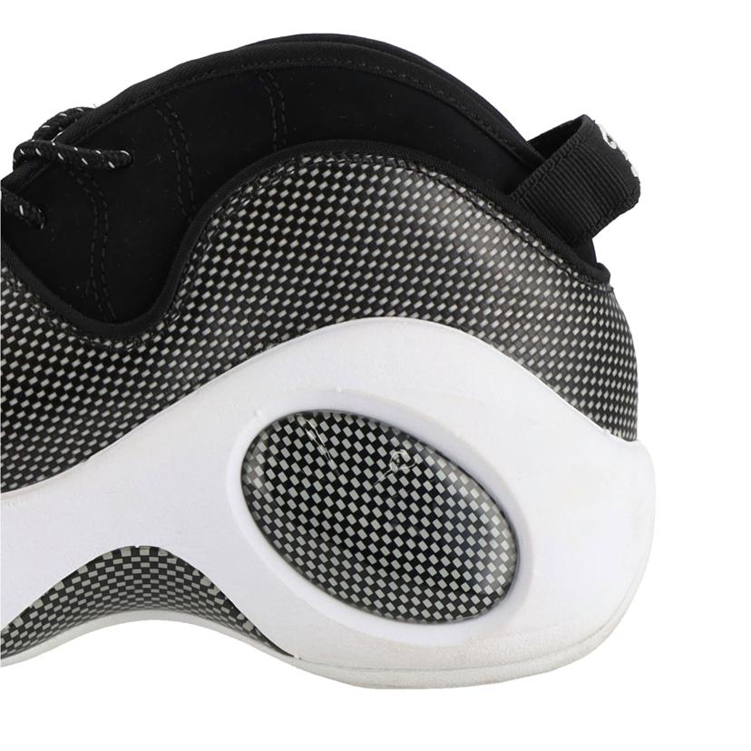 NIKE ナイキ/NIKE ZOOM FLIGTH 95//Aランク/64