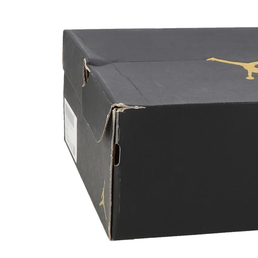 NIKE ナイキ/AIR JORDAN 1 MID/DQ8426-142//Sランク/05