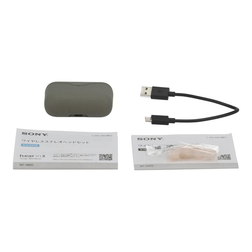SONY ソニー/ワイヤレスイヤホン/h.ear in 3 Truly Wireless/WF-H800//5064849/Bランク/09