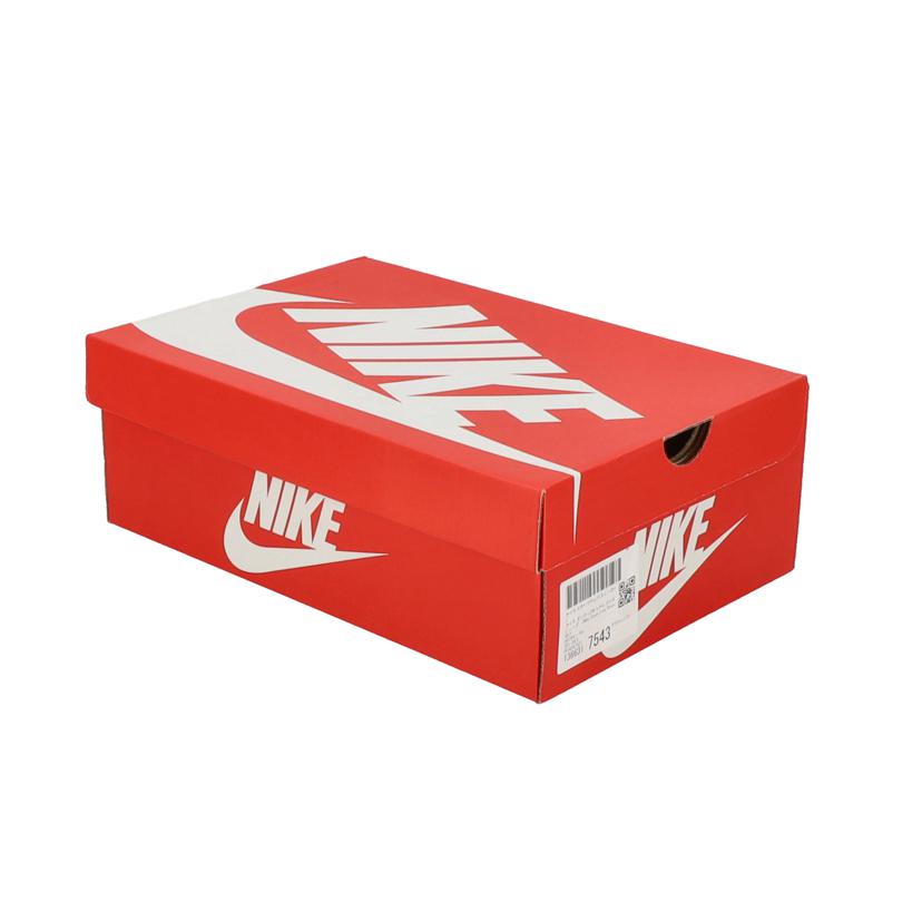 NIKE ナイキ/Dunk Low レトロ/HF5441-701//Aランク/06