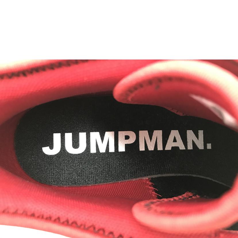 NIKE ナイキ/NIKE JORDAN STAYLOYAL2/DQ8401-061//ABランク/51