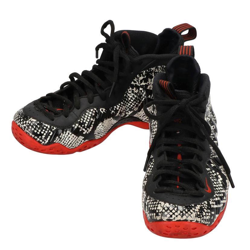 NIKE ナイキ/NIKE AIR FOAMPOSITE ONE//Bランク/19