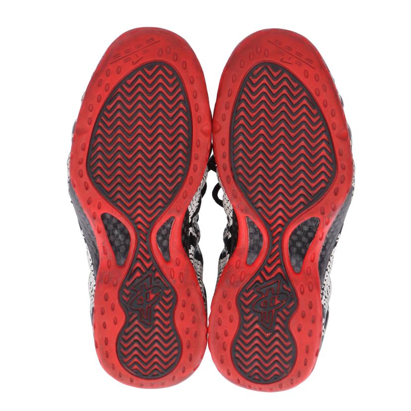 NIKE ナイキ/NIKE AIR FOAMPOSITE ONE//Bランク/19