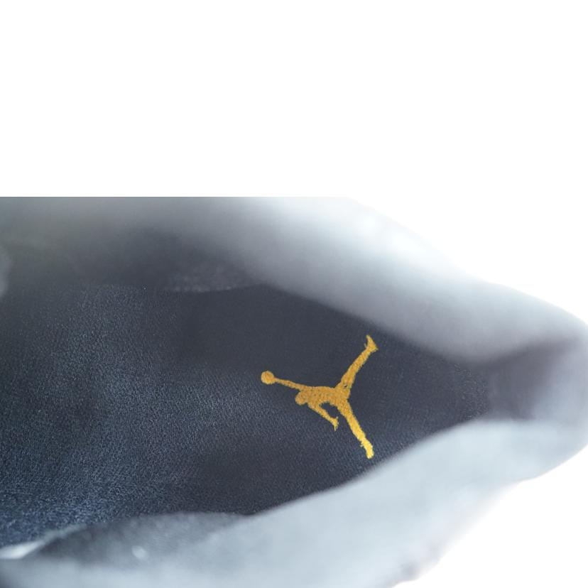 NIKE ナイキ/NIKE AIR JORDAN 11 RETRO 27.0/378037 006//Aランク/67