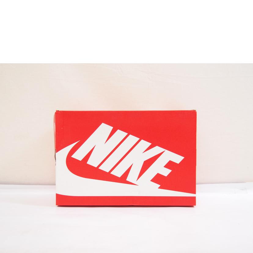 NIKE ナイキ/NIKE AIR MAX ZM950/CK6852-002//Aランク/71